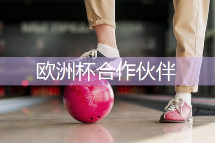 乒乓球桌和乒乓球台