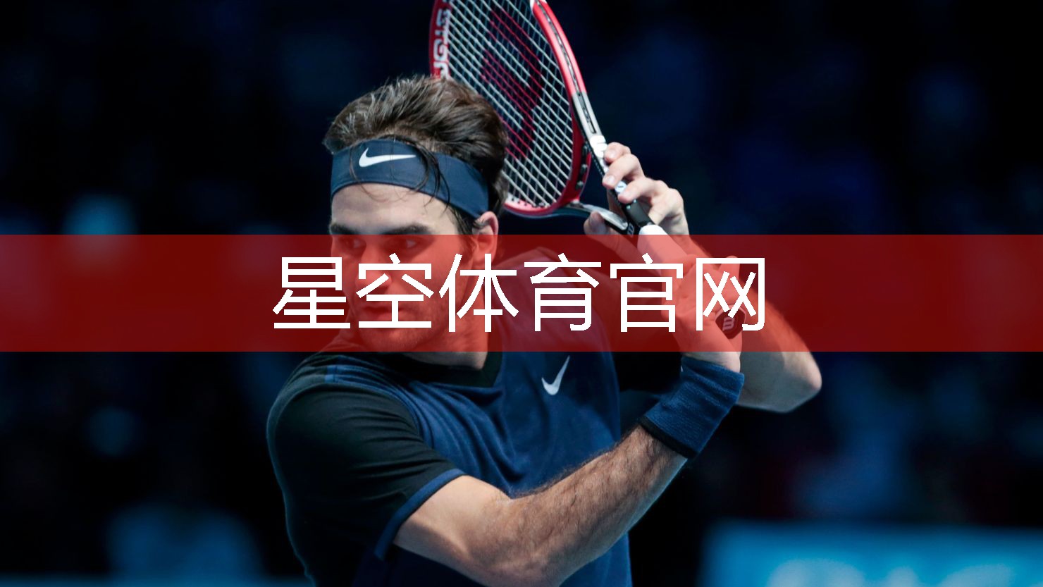 星空体育集团：和猫玩乒乓球台怎么办呢