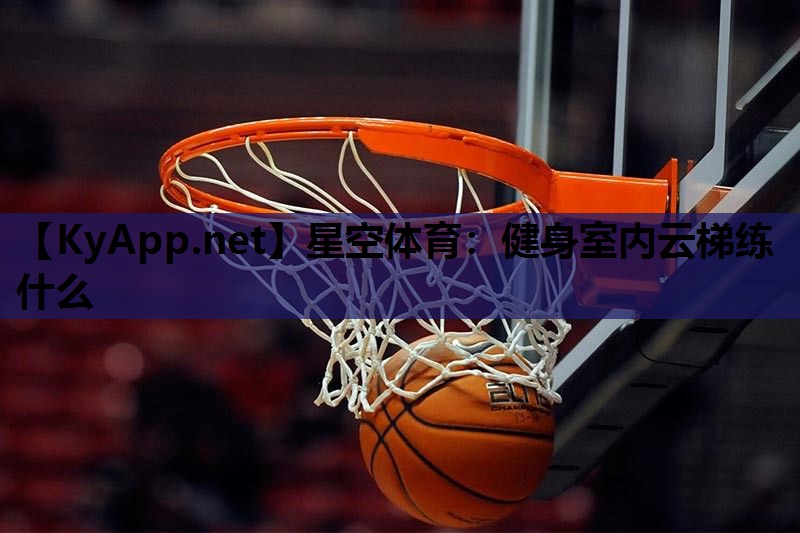 星空体育：健身室内云梯练什么