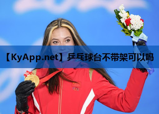 乒乓球台不带架可以吗