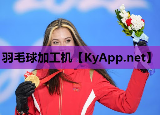 羽毛球加工机