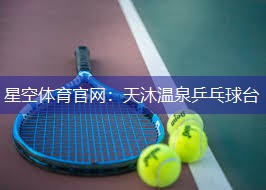 天沐温泉乒乓球台