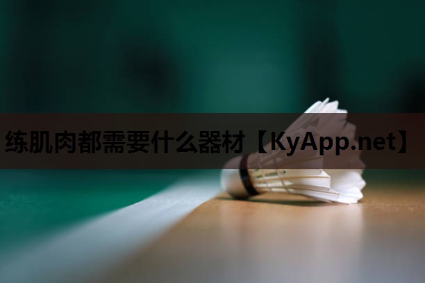 练肌肉都需要什么器材