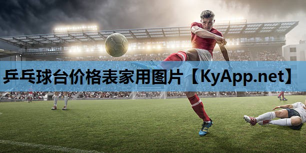 乒乓球台价格表家用图片