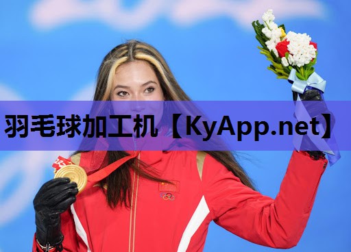 羽毛球加工机