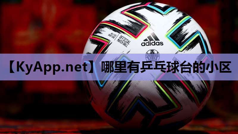 哪里有乒乓球台的小区
