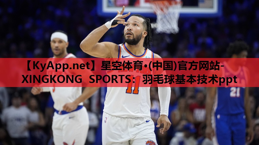 羽毛球基本技术ppt